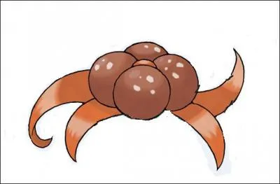Quel Pokémon détient ces feuilles orange ainsi que cette fleur rouge sur sa tête ?