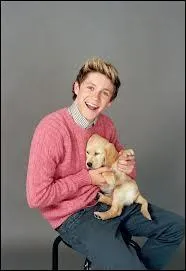 Quel est le nom de la chanson qu'il a écrite dans l'album Up All Night ?