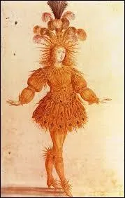 Quel roi de France été surnommé le "Roi-Soleil" ?