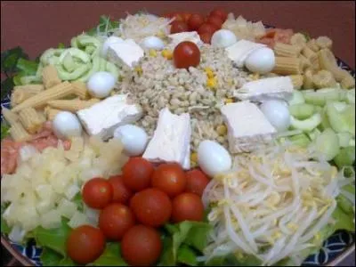 Constituée d'une multitude d'ingrédients variés, coupés en morceaux, jetés dans un saladier, je me mange froide et en été...