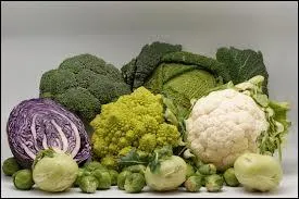 Je suis un plat à base de chou. Ce chou est coupé fin et se cuit "marmite sur le feu". Il peut être accompagné de saucisses, de viande et de pommes de terre. Mais qui suis-je donc ?