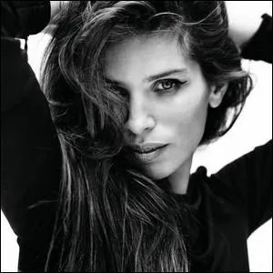 Lequel de ces films n'a pas été réalisé par Maïwenn Le Besco  ?