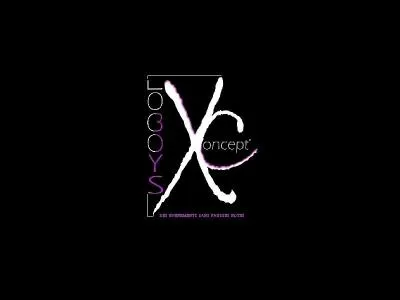 Une amie très proche nous a demandé ce que signifiait le "X" de LBXconcept'. Nous vous retournons la question !