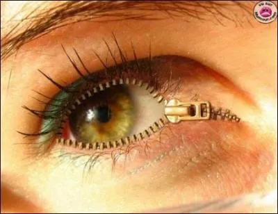 Qu'est-ce que 'l'aconit' ?