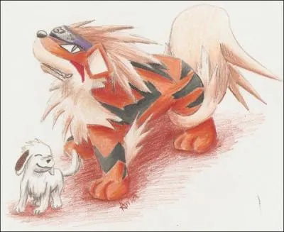 Et enfin, nous voici avec un personnage qui a été battu par Naruto à cause d'un...pet. Il a décidé de devenir l'animal qu'il aime tant, de type feu et qui est apparu lors de la première génération. C'est :