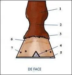 A quoi correspondent les numéros 1, 2, 3 et 4 ?