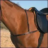 Un collier de chasse ou une bricole servent à ce que la selle ne recule pas. Où faut-il les fixer ?