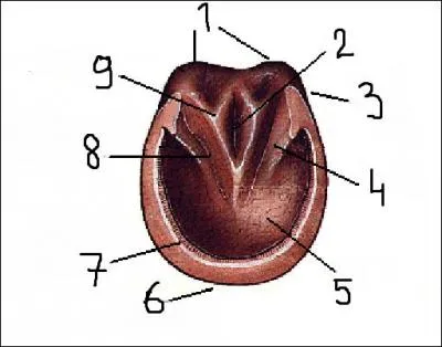 A quoi correspondent les numéros 1, 2, 3, 4 et 5 ?
