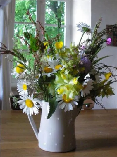 Mécanique. Enveloppe servant à protéger la chaîne et les roues dentées d'un engrenage :