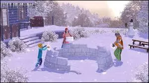 Cette image provient de quel add-on ?