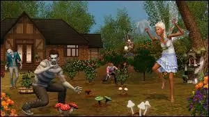 Cette image provient de quel add-on ?