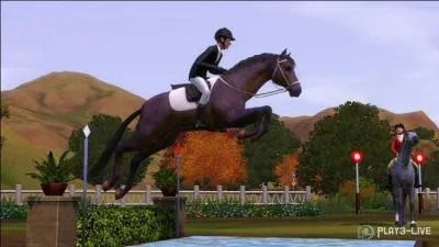 Cette image provient de quel add-on ?