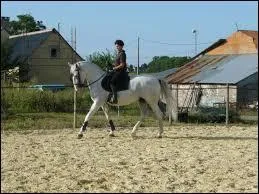 Mon cheval quitte la piste, que faire ?