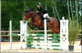 Mon cheval refuse l'obstacle ! Que faire ?