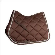 Comment ça s'appelle ?