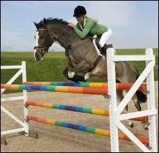 Quel est le nom de cette obstacle ?