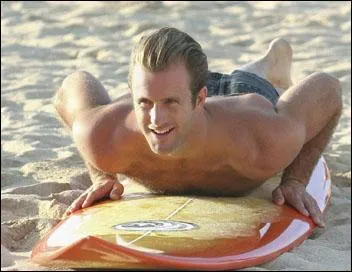 Qui joue Danny Williams ?