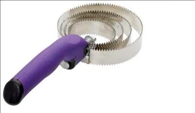 Quelle est cette brosse ?