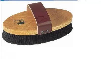 Quelle est cette brosse ?