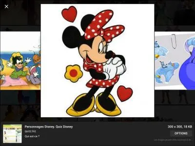 Qui est le copain de Mickey ?