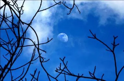 Pouvons-nous voir la Lune le jour ?