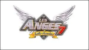 Sur quelle chaîne l'émission est-elle diffusée ?