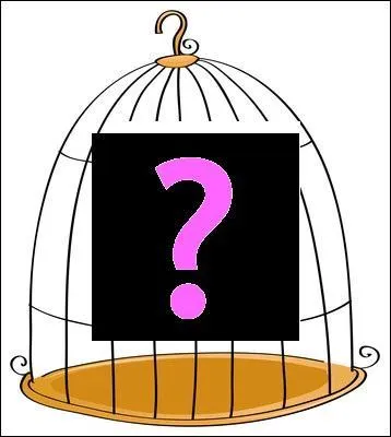 Une fois dans ce lieu, qui rencontre-t-il dans une cage ?