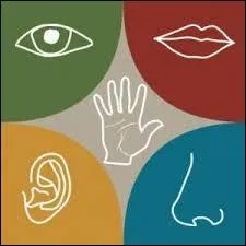 «Le malheureux, il est aveugle, sourd et muet.». Combien de sens lui reste-t-il ?