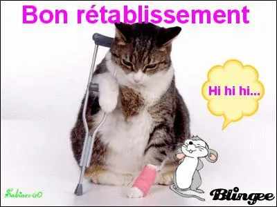 Pourquoi recevez-vous cette carte ?