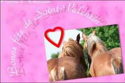 Quand fête-t-on la Saint-Valentin ?