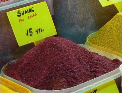 Quel sorte d'arbre est le sumac ?