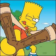 Quelle est la marque des objets que Bart a dans sa chambre ?