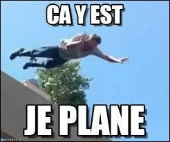 Dans quelle chanson de Plastic Bertrand, pouvez-vous entendre ces paroles : "Mon chat, splatch 
Gît sur mon lit 
A bouffé sa langue 
En buvant dans mon whisky 
Quant à moi 
Peu dormi, vidé, brimé " ?