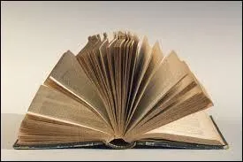 1) Livre : ancienne monnaie française.
2) Livre : assemblage d'un assez grand nombre de pages.