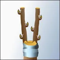 1) Greffe : opération par laquelle on implante un greffon.
2) Greffe : bureau où l'on garde les minutes des actes de procédure.