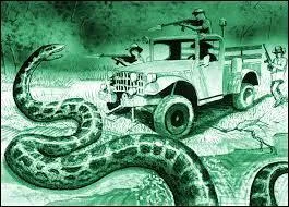 Quand est-ce que l'on a affirmé avoir capturé un mégaconda ?