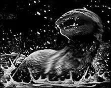 Où la légende du dobhar chu est-elle née ?