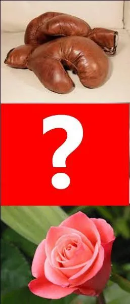 Quelle est la bonne réponse ?