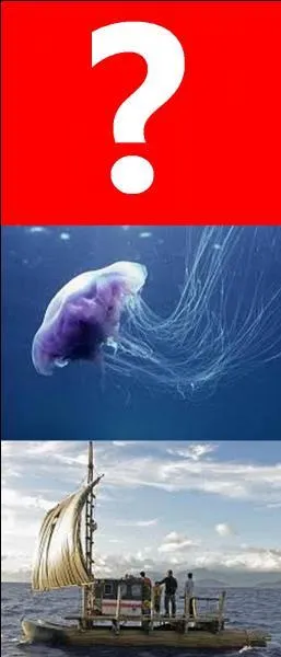 Quelle est la bonne réponse ?