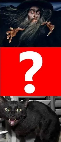 Quelle est la bonne réponse ?