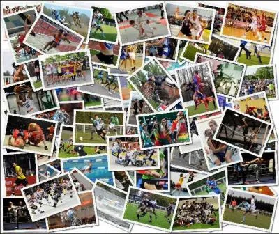 Qu'est-ce qu'un ollie ?