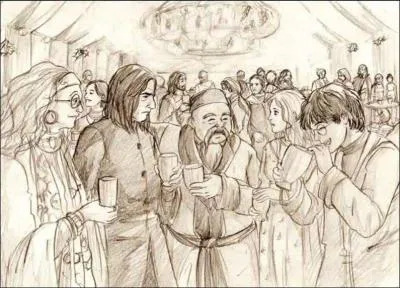 Harry : "Ce n'était pas une excellente soirée, mais j'y ai quand même bien rigolé, c'était..."