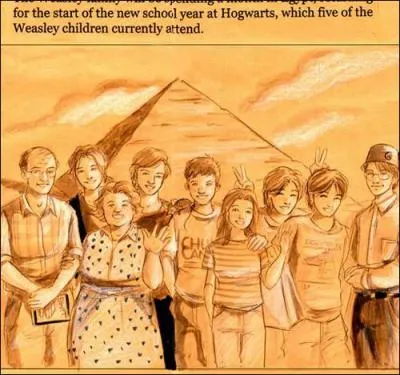 Ginny : "Cette photo a été prise en Égypte, nous étions partis rendre visite à Bill pour Noël ! Regardez le chapeau ridicule de votre oncle..."