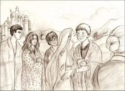 Ginny : "Regardez la tête de votre tante ! On dirait bien qu'elle est jalouse, votre oncle se fait embrasser par..."