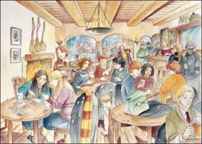 Harry : "Rien de mieux que de finir sur un souvenir heureux, sur cette photo nous nous trouvons..."