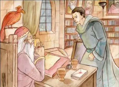 Harry : "Cette photo est particulièrement intéressante et rares sont les personnes qui peuvent admirer un tel cliché, voyez-vous les enfants, Dumbledore se trouve ici face à..."