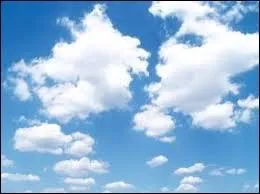 Comment appelle-t-on l'étude des processus physiques et dynamiques de formation des nuages ?