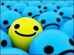 Combien de photos les non vip peuvent-ils mettre en 1 jour ?