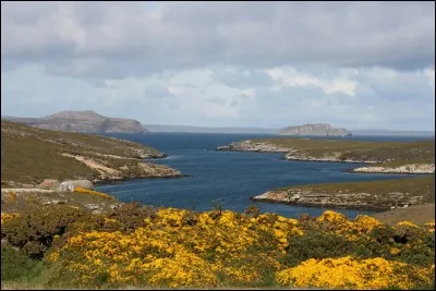 Comment se nomme la principale ville de l'archipel des Malouines (ou Falkland, en anglais) ?
