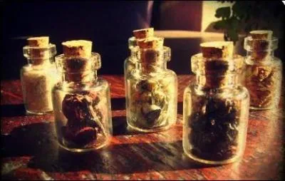 Qu'est-ce qui permettait de soigner les troubles gastriques (de l'appareil digestif) ?